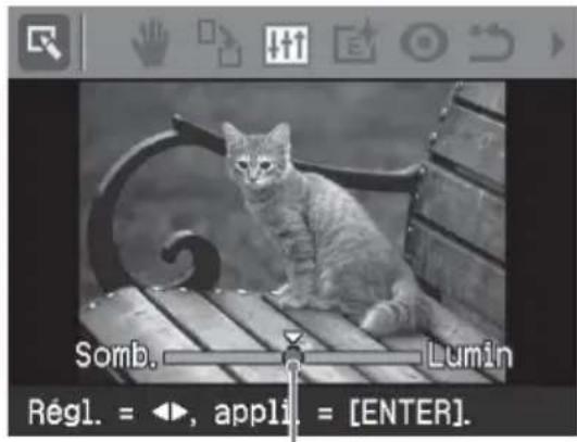 SONY DPP-FP55 - Réglage d'une image - 2