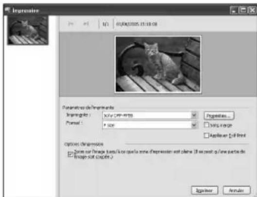 SONY DPP-FP55 - Dans la liste déroulante « Imprimante », sélectionnez « Sony DPP-FP55 » et cliquez sur « Imprimer ». Les préparatifs pour l'impression commencent. - 1
