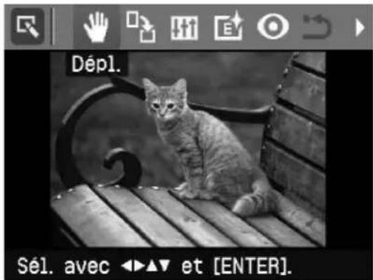 SONY DPP-FP55 - Agrandissement et réduction de la taille d'une image - 1