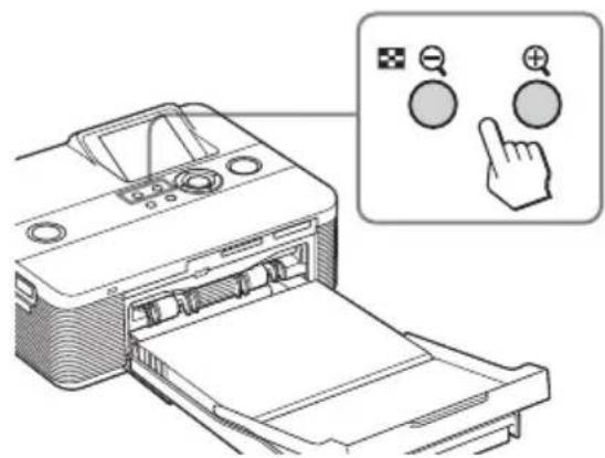 SONY DPP-FP55 - Utilisation de la fenêtre d'affichage - 1