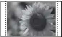 SONY DPP-FP97 - Making a Date Print - 3