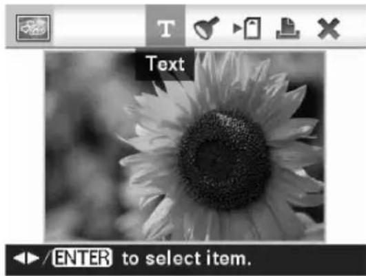 Text ENTER to select item.