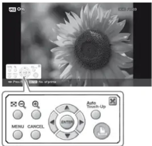 MS 01 8205/0303 → Prev/1 0000 No. of prints MENU CANCEL ENTER Auto Touch-Up
