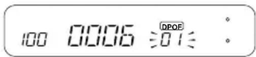 100 0006 DPOE 01:32