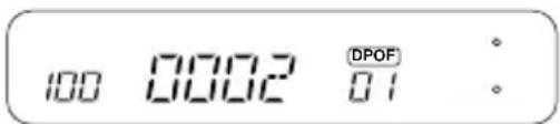 100 0002 DPOF 01 :