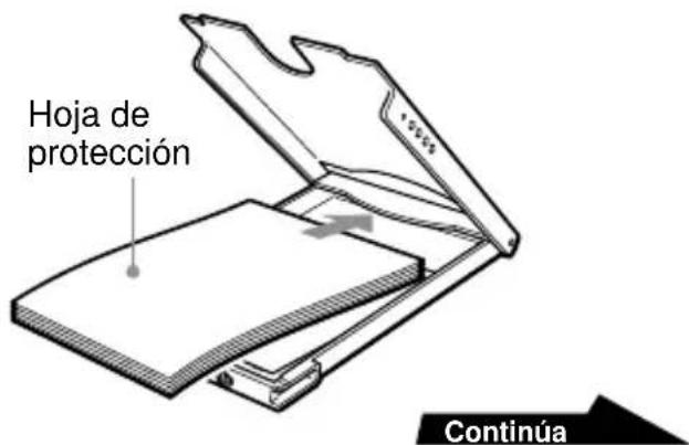 Hoja de protección Continúa