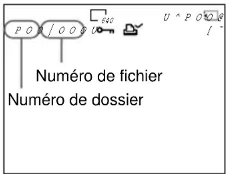P O O / O O O U 640 U ^ P O * O @ / Numéro de fichier Numéro de dossier