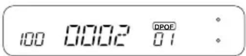 100 0002 DPOE 01 :