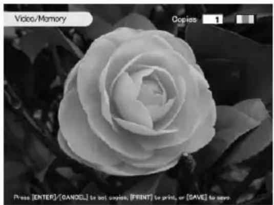 SONY DPP-SV88 - Sauvegarde de l'image vidéo en mémoire sur un "Memory Stick", une carte PC ou un disque CD-R/RW - 1