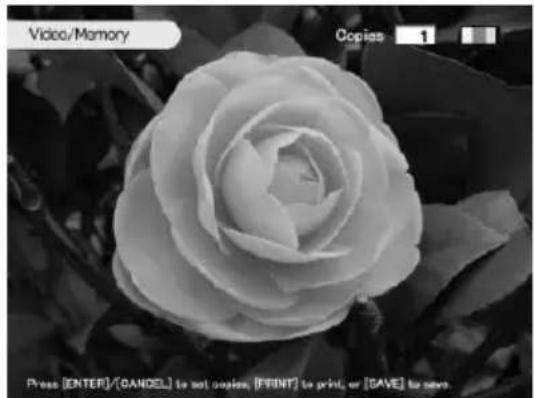 SONY DPP-SV88 - Guardar la imagen de memoria de vídeo en un "Memory Stick," una tarjeta PC o un disco CD-R/RW - 1