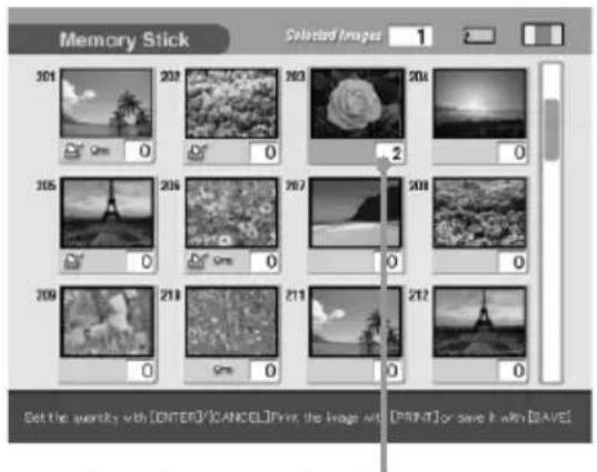 Memory Stick Selected Images 1 301 202 203 204 305 206 207 208 209 210 211 212 Get the quantity with [ENTER]/CANCEL[Print, the image with [PRINT] or save it with [SAVE]