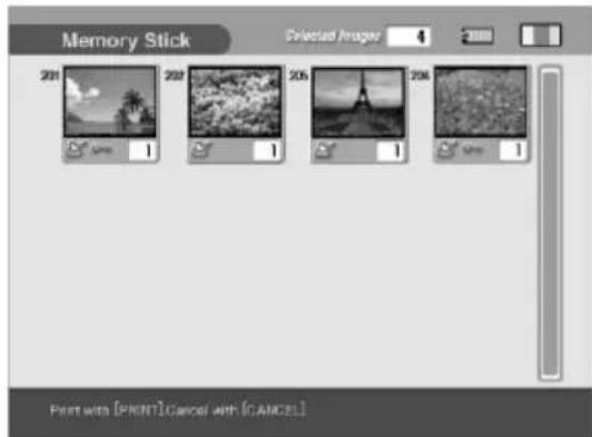 Memory Stick 201 202 205 206 PRINT [PRINT]CANCEL ART [CANCEL]
