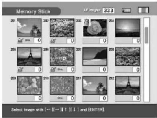 Memory Stick 201 207 203 204 205 206 207 208 209 210 211 212 Select images with [←][→][↑][↓][→][ENTER].
