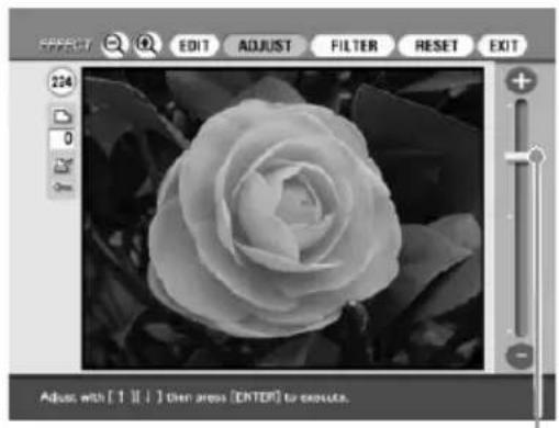 SONY DPP-SV88 - Notas - 5