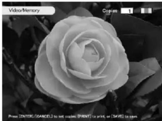 SONY DPP-SV88 - Saving the video memory image onto a "Memory Stick," PC card or CD-R/RW disc - 1