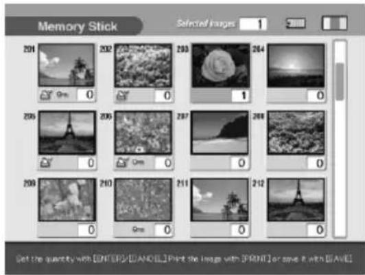 Memory Stick Selected Images 1 201 202 203 204 205 206 207 208 209 210 211 212 Get the quantity with ENTER/SAND/LiPrint the Image with IPRINT or save it with GAVIL