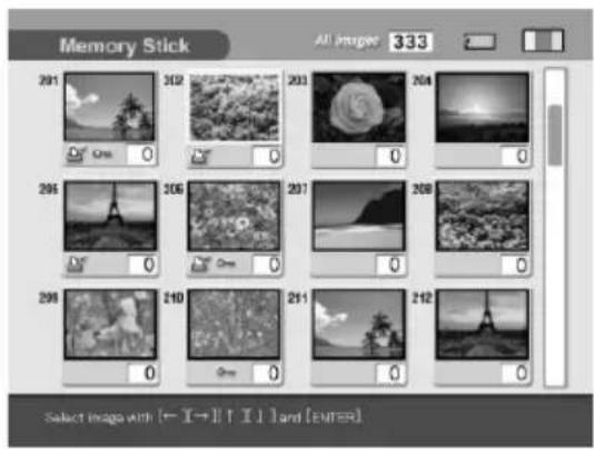 Memory Stick All images 333 291 292 293 294 295 296 297 298 299 200 201 202 203 204 205 206 207 208 209 210 211 212 Select image with (← I→)↑ I↓ and [ENTER]