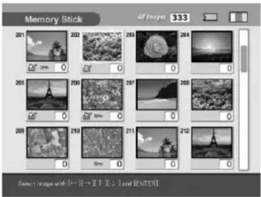 Memory Stick All Images 333 261 202 293 264 265 296 297 268 209 210 211 212 Select images with [←→]→[↑]→[↓] and [ENTER]