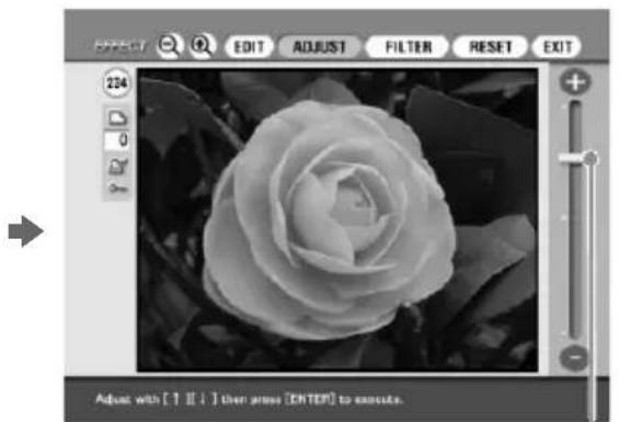 SONY DPP-SV88 - Adjusting the pictures - 2