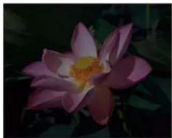 XEROX 7600i - Exemples de luminosité d'une image en couleur - 1
