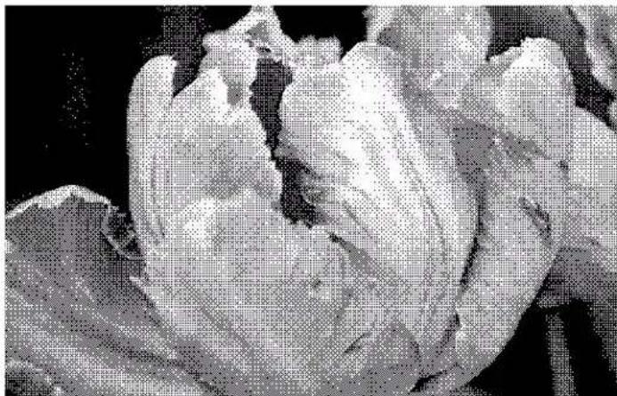 XEROX 7600i - Diffusion d'erreur, tramage de Bayer et motifs demi-teinte - 4