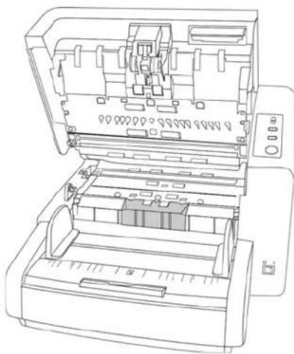 XEROX DocuMate 4799 - Remplacement des rouleaux d'écartement et d'alimentation papier - 8