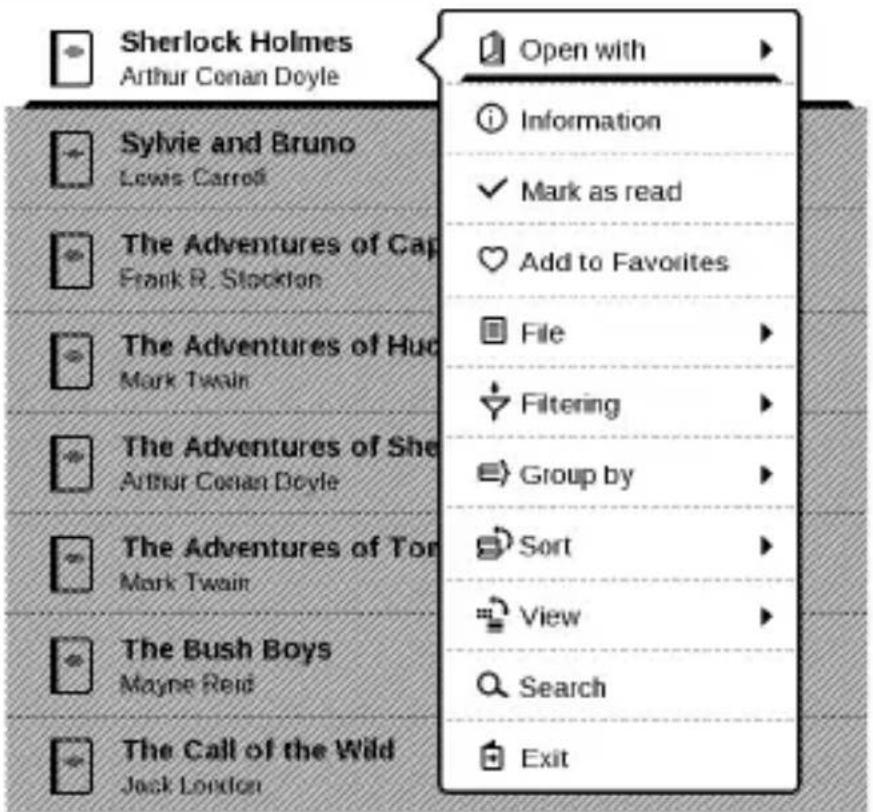 POCKETBOOK Basic New - BIBLIOTHÈQUE - 1