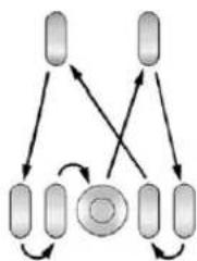 CHEVROLET Silverado 1500 (2012) - TireRotation - 3