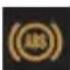CITROEN C4 (2005) - Front/side airbag fault warning lamp - 1