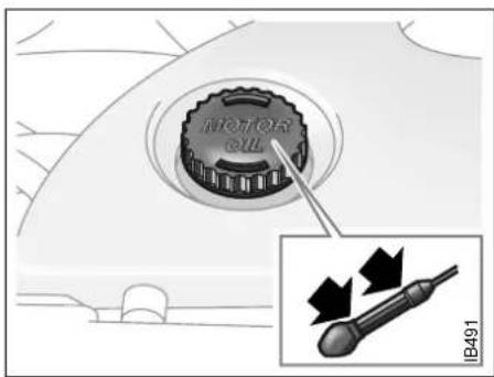 MOTOR OIL IB491