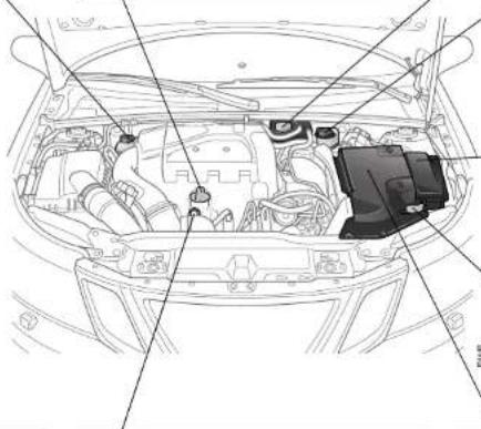 SAAB 9-3 (2008) - Engine bay, 2.8 V6 - 1