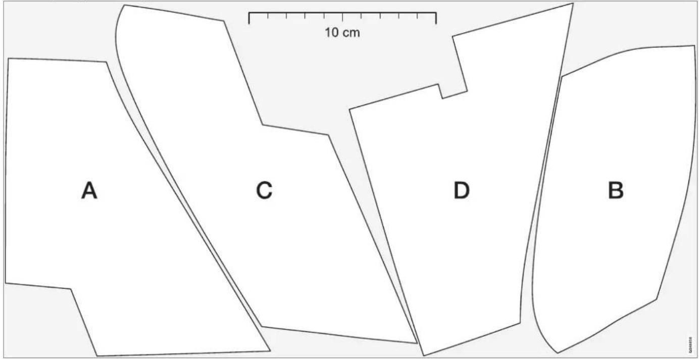 10 cm A C D B