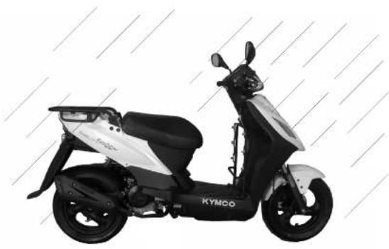 KYMCO Agility Carry - WARNING - 1