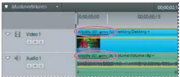 ADOBE Premiere Elements 12 - Video- en audioclips koppelen - 1