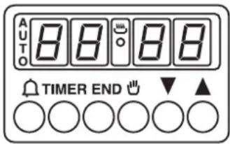 AUTO 8 8 8 8 TIMER END