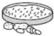 TEFAL Delice Compact OF2658 - User guide - 使用說明 - 36