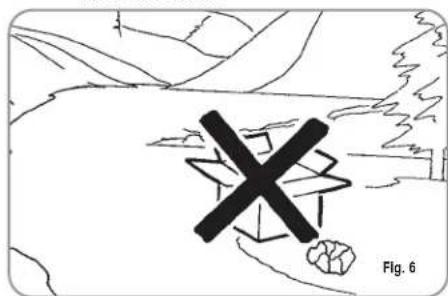 NUOVA SIMONELLI Appia S - CAUTION RISK OF POLLUTION - 2