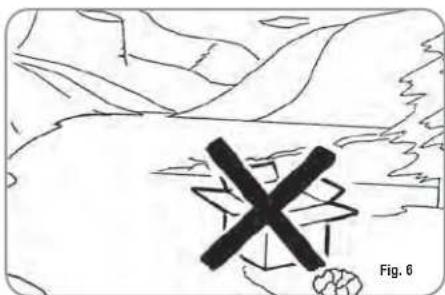 X Fig. 6