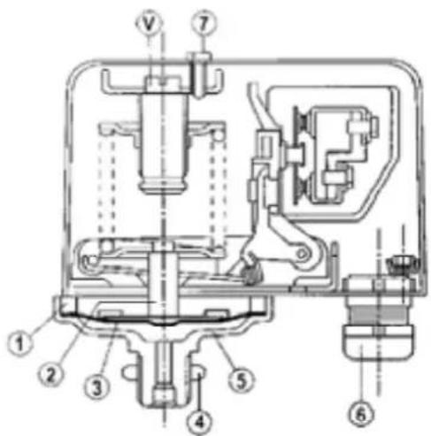 Sanremo Milano LX - Controllo preliminare - 1
