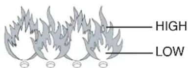 BARBECOOK Brahma 2.0 - CONTROLE VISUEL DES FLAMMES - 1
