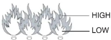 BARBECOOK Brahma 2.0 - VISUAL CHECK OF THE FLAMES - 2