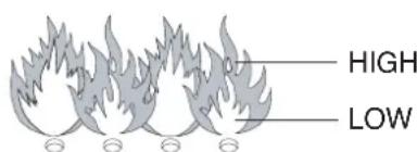 BARBECOOK Manua 1 - VIZUALUS LIEPSNOS PATIKRINIMAS - 2