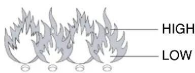 BARBECOOK Manua 3 - LIESMU VIZUĀLĀ PĀRBAUDE - 1