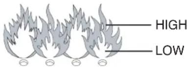 BARBECOOK Vanilla - VIZUALUS LIEPSNOS PATIKRINIMAS - 2