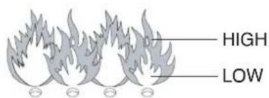 BARBECOOK Vanilla - VISUAL CHECK OF THE FLAMES - 1