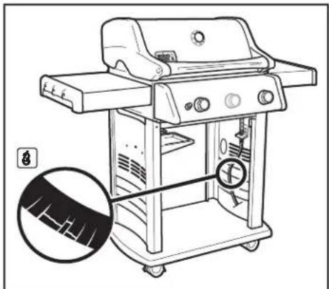 WEBER Spirit E-210 Classic - HOSE INSPECTION - 2