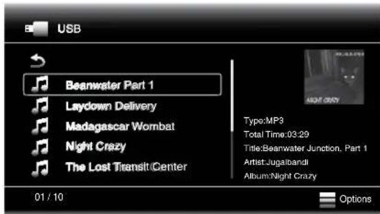 HARMAN KARDON BDS 575 - Playing Music Files - 1