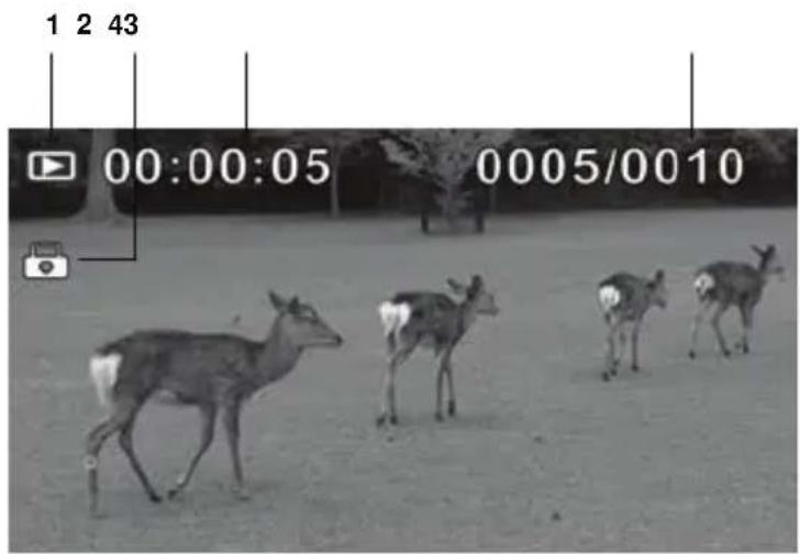1 2 43 00:00:05 0005/0010