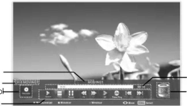 CHANGHONG LED39B2510IS - - Instant Recording (Directe opname) - 1