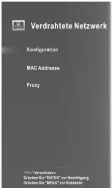 CHANGHONG LED39B2510IS - LAN Netz Anschluss - 1
